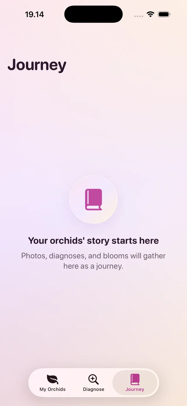 Laelia growth journal — a photo timeline of one orchid over time